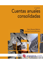 Cuentas anuales consolidadas