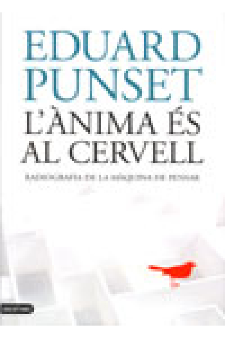 L'ànima és al cervell