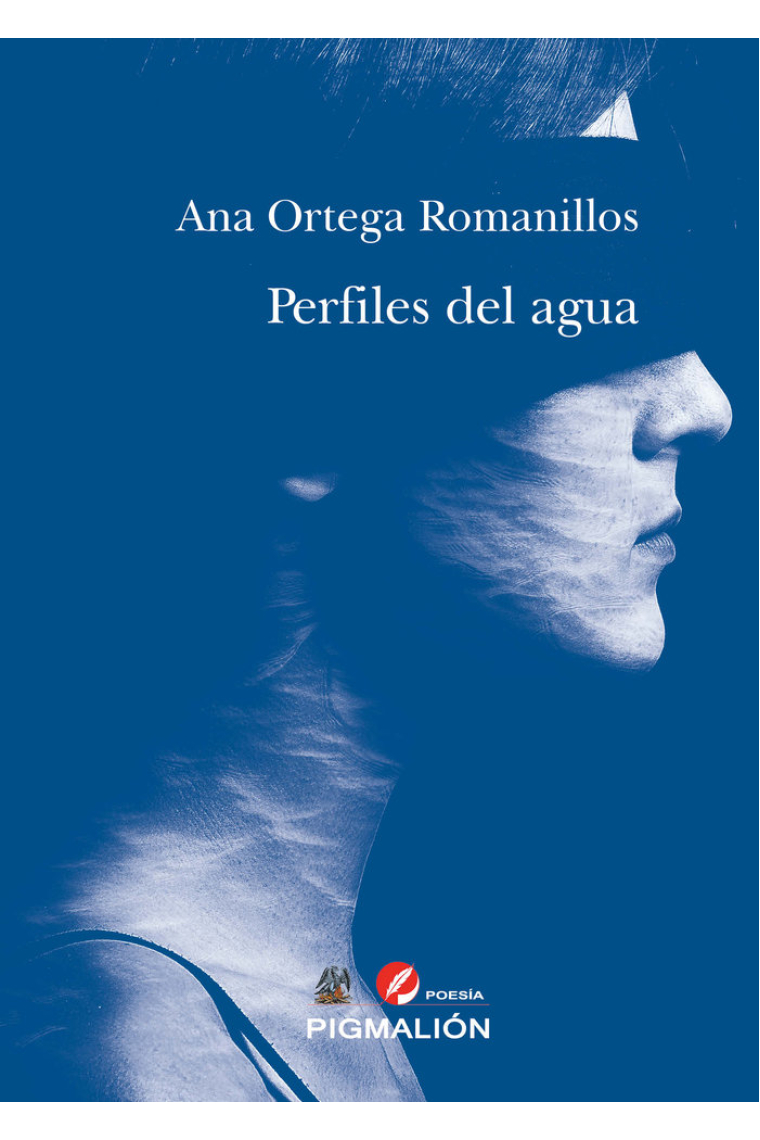 PERFILES DEL AGUA