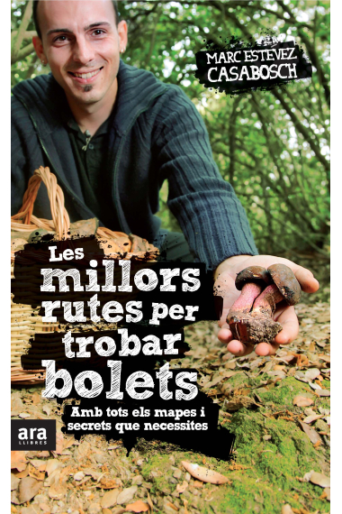 Les millors rutes per trobar bolets