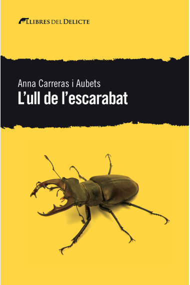 L'Ull de l'escarabat