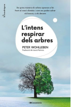 L'intens respirar dels arbres. De quina manera els arbres aprenen a fer front al canvi climàtic i com ens poden salvar els boscos, si els deixem