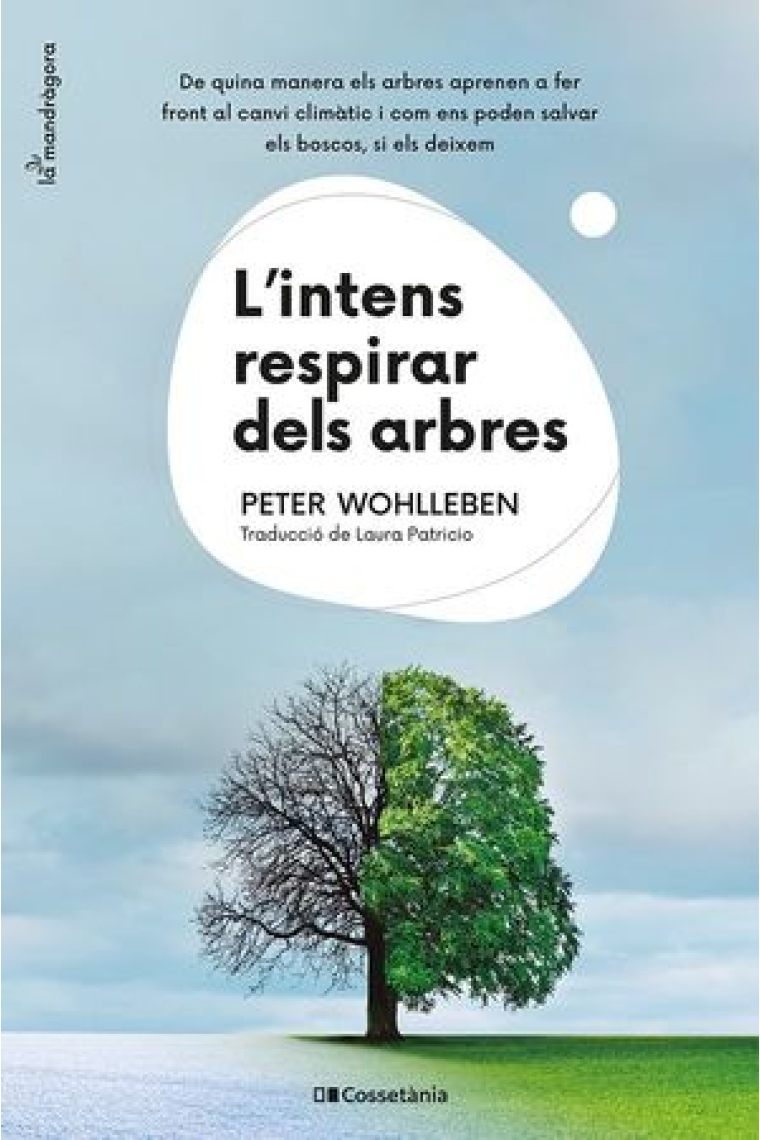 L'intens respirar dels arbres. De quina manera els arbres aprenen a fer front al canvi climàtic i com ens poden salvar els boscos, si els deixem