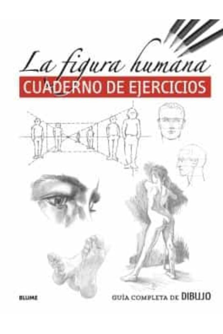 Guía completa de dibujo. Figura humana (ejercicios). Cuaderno de ejercicios