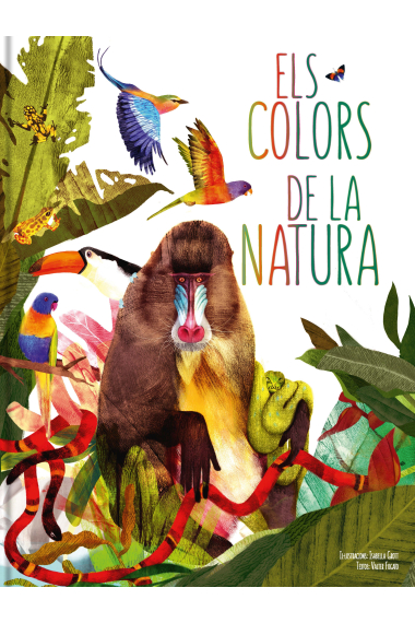 ELS COLORS DE LA NATURA