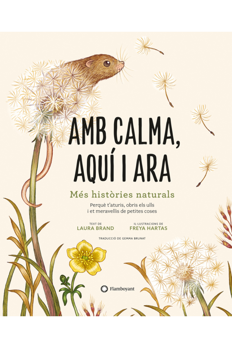 Amb calma aquí i ara. Més històries naturals.