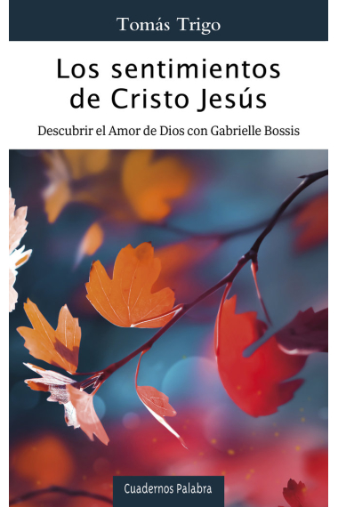 LOS SENTIMIENTOS DE CRISTO JESUS