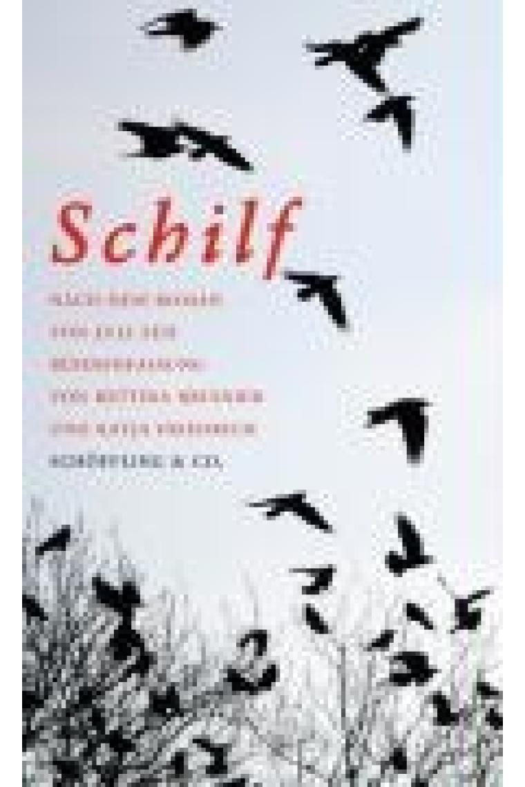 Schilf