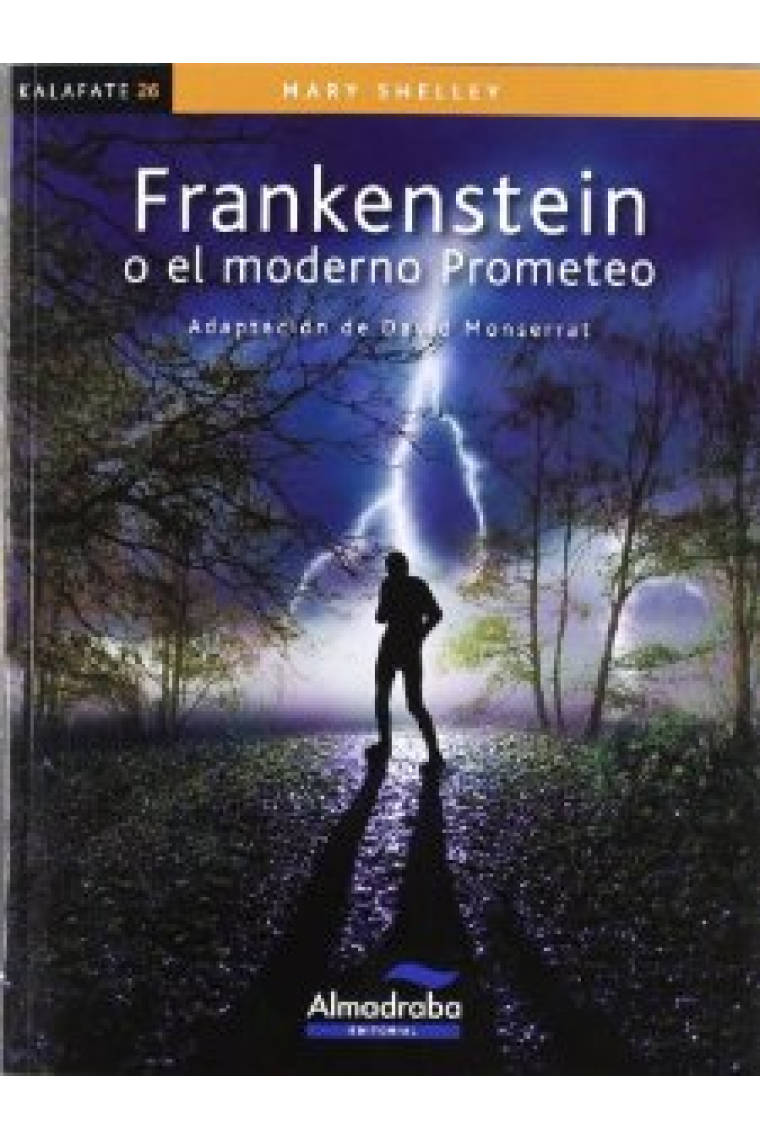 Frankenstein o el moderno Prometeo (Nivel B2)