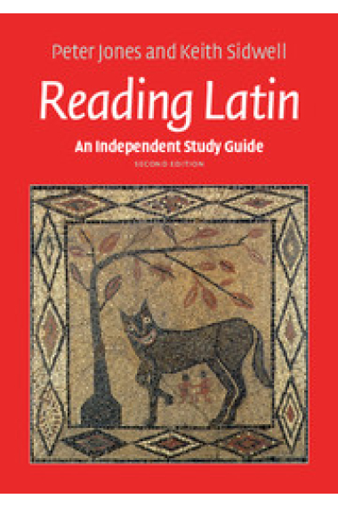 Reading Latin: An Independent Study Guide