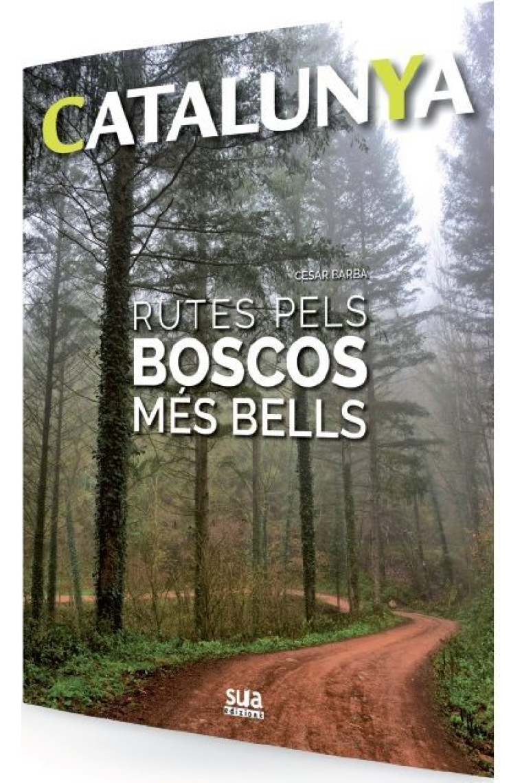 Catalunya. Rutes pels boscos més bells