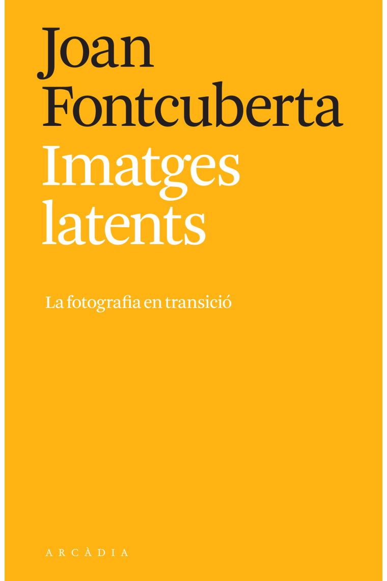 Imatges latents. La fotografia en transició