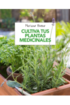 Cultiva tus plantas medicinales