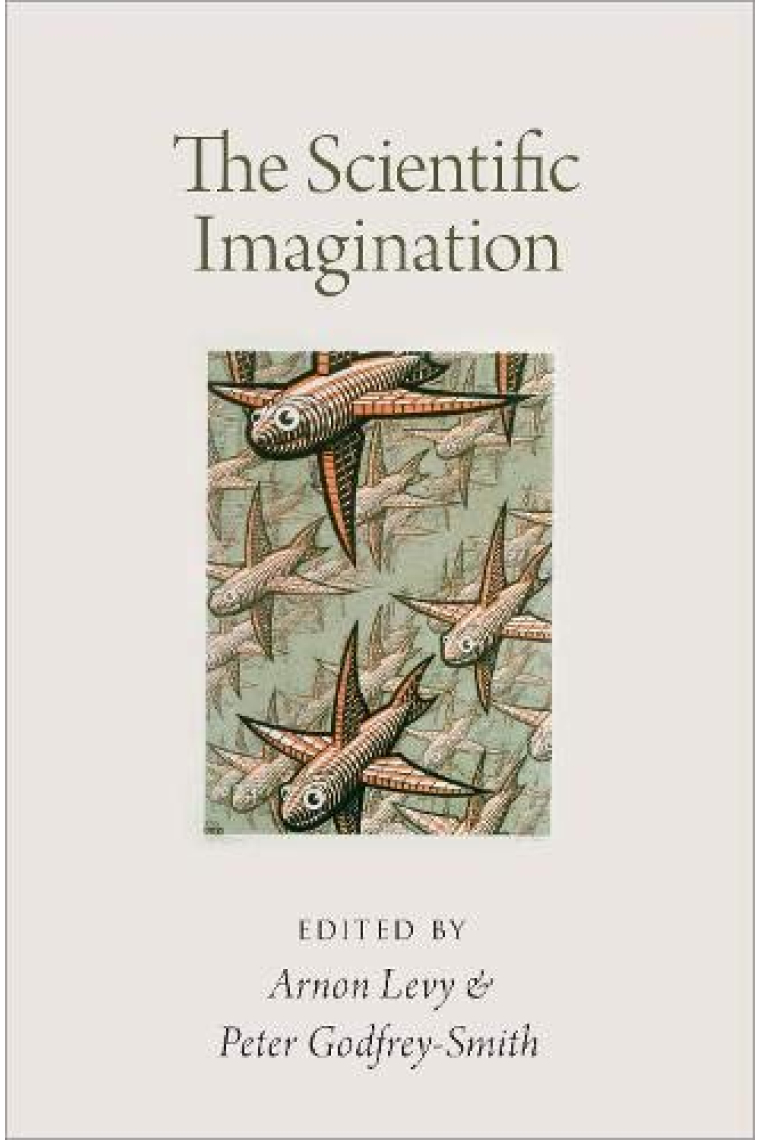 The Scientific Imagination