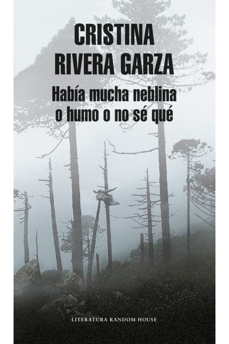 Había mucha neblina o humo o no sé qué