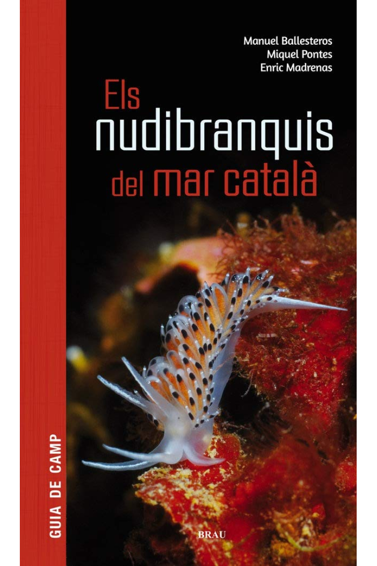 Els nudibranquis del mar català