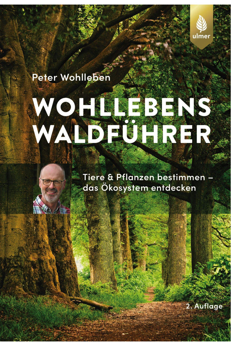 Wohllebens Waldführer: Tiere und Pflanzen bestimmen - das Ökosystem entdecken