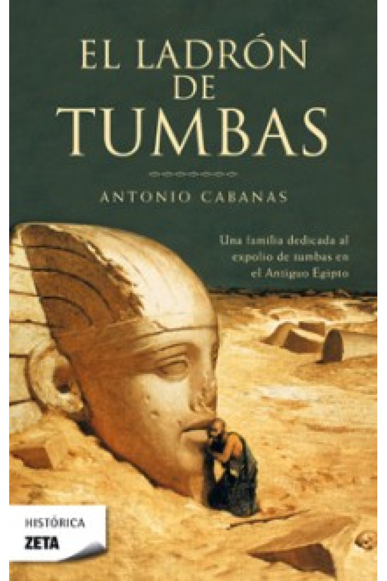 El ladrón de tumbas