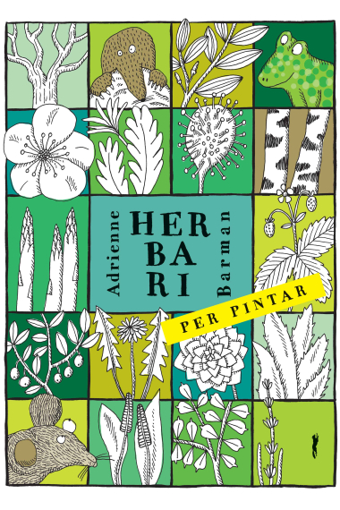 Herbari per pintar