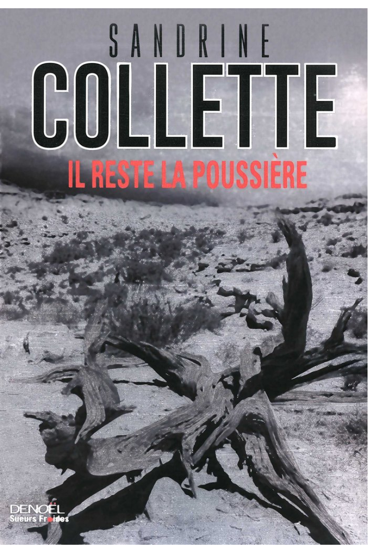 IL RESTE LA POUSSIERE