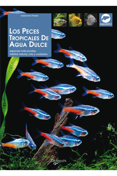 Los Peces tropicales de agua dulce