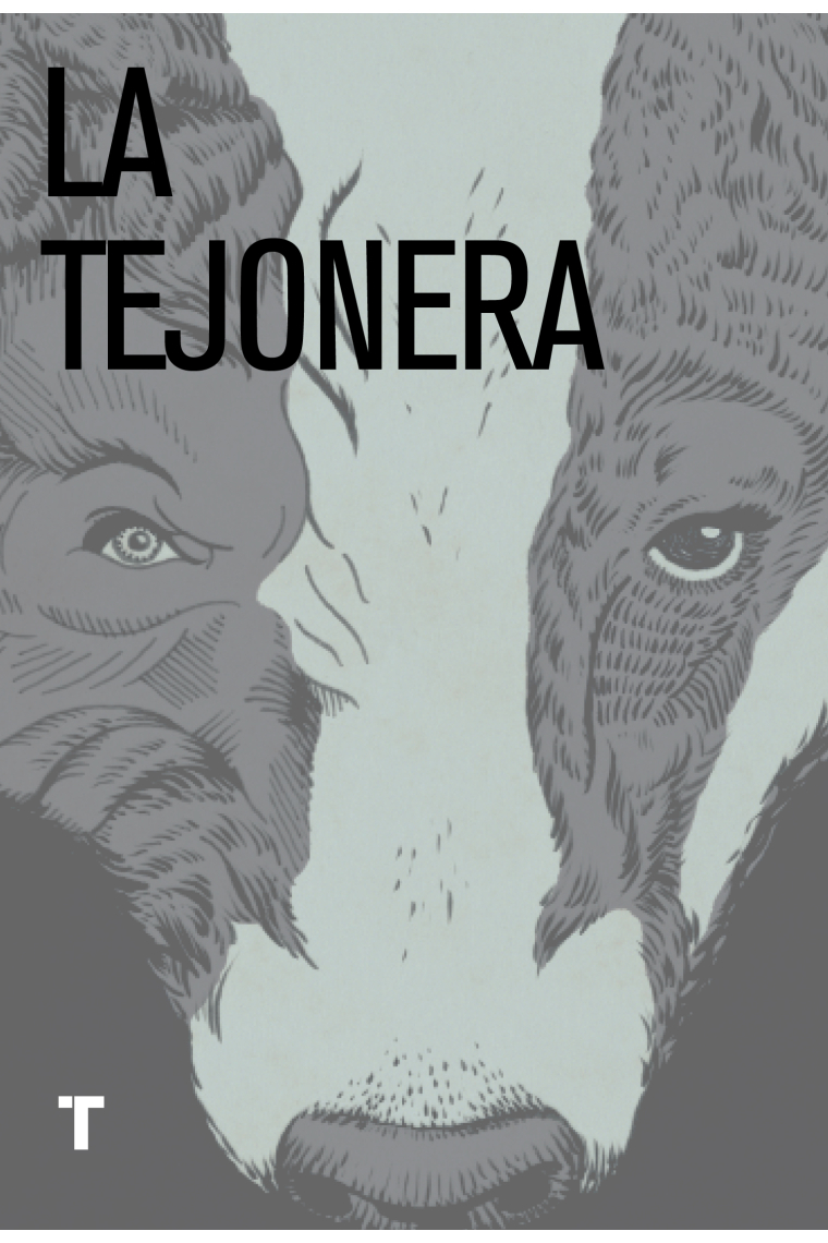 La tejonera