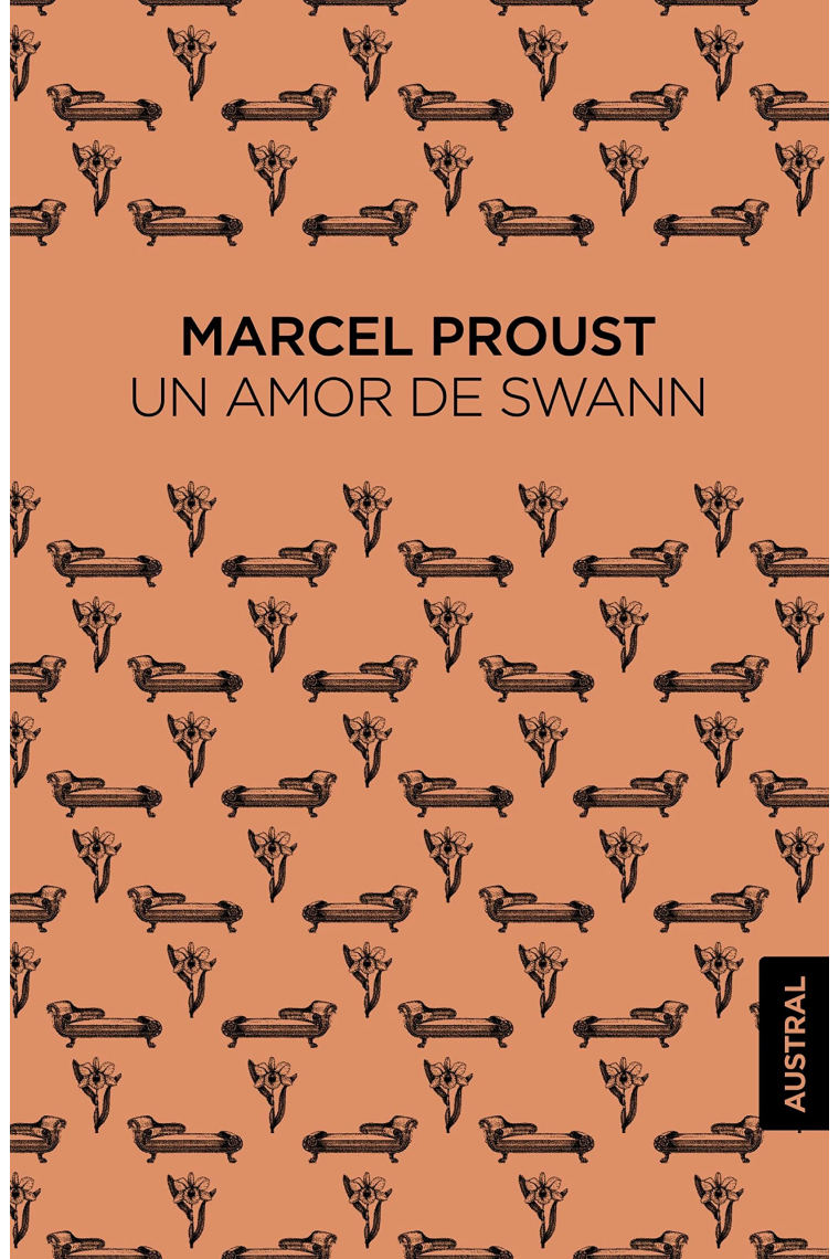 Un amor de Swann