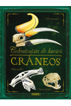 Cráneos