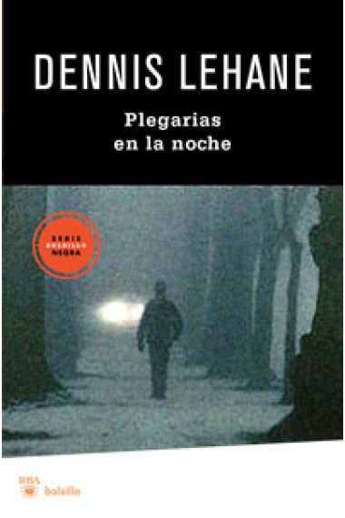 Plegarias en la noche