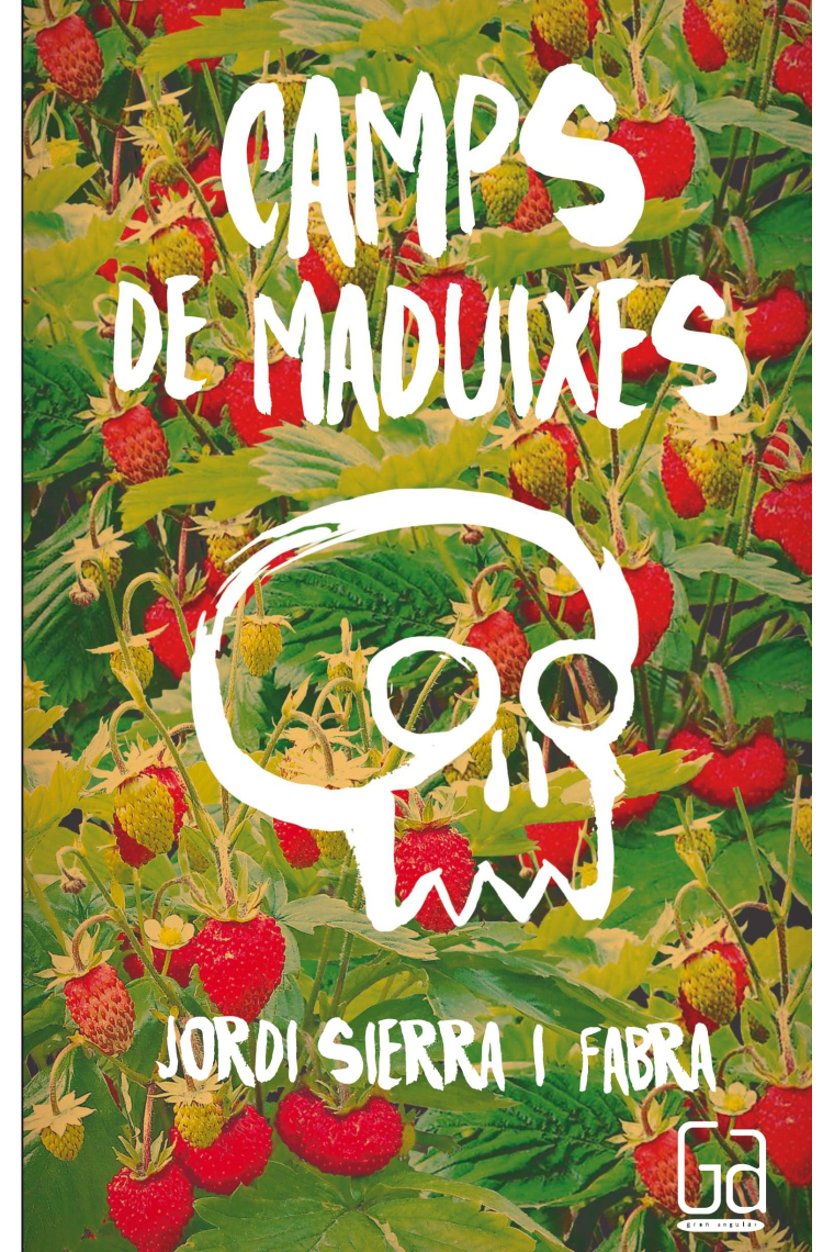 Camps de maduixes