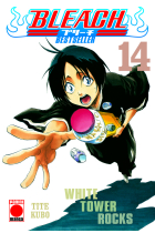 BLEACH BESTSELLER 14