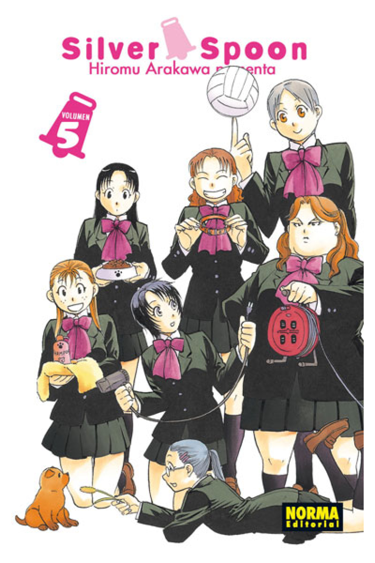 Silver Spoon 5