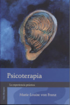 Psicoterapia. La experiencia práctica