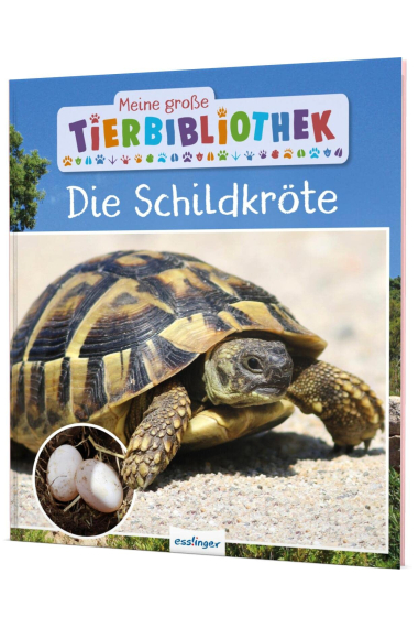 Meine große Tierbibliothek: Die Schildkröte: Sachbuch für Vorschule & Grundschule