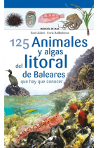 125 animales y algas del litoral balear que debes conocer