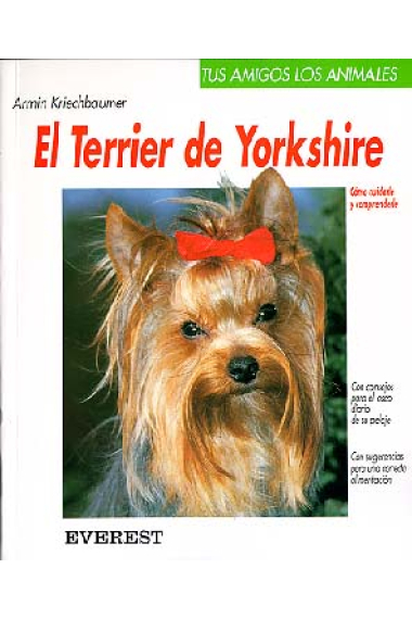 El Terrier de Yorkshire.