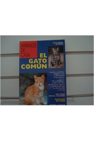 El gato común