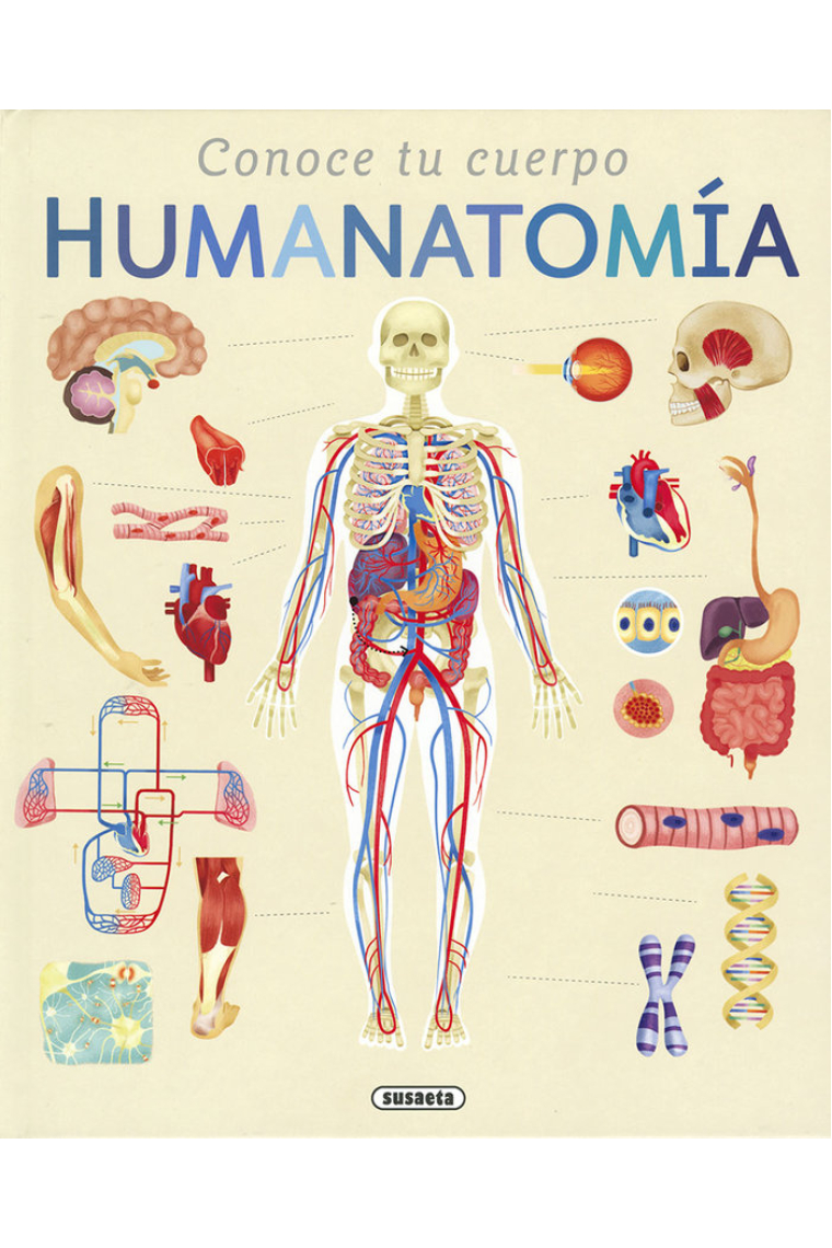 HUMANATOMIA