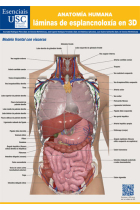 ANATOMIA HUMANA