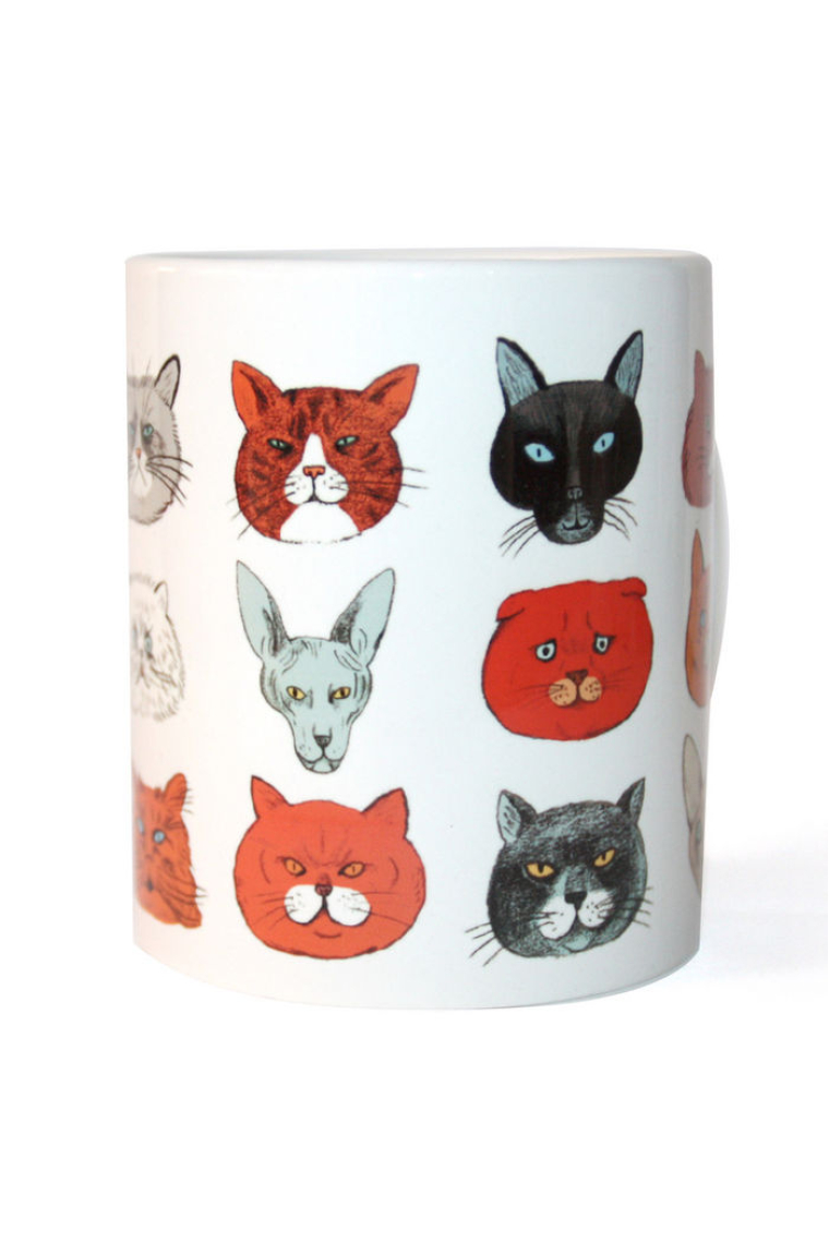 TAZA GATOS BAJO LA LUPA DE LOS CIENTíFICOS