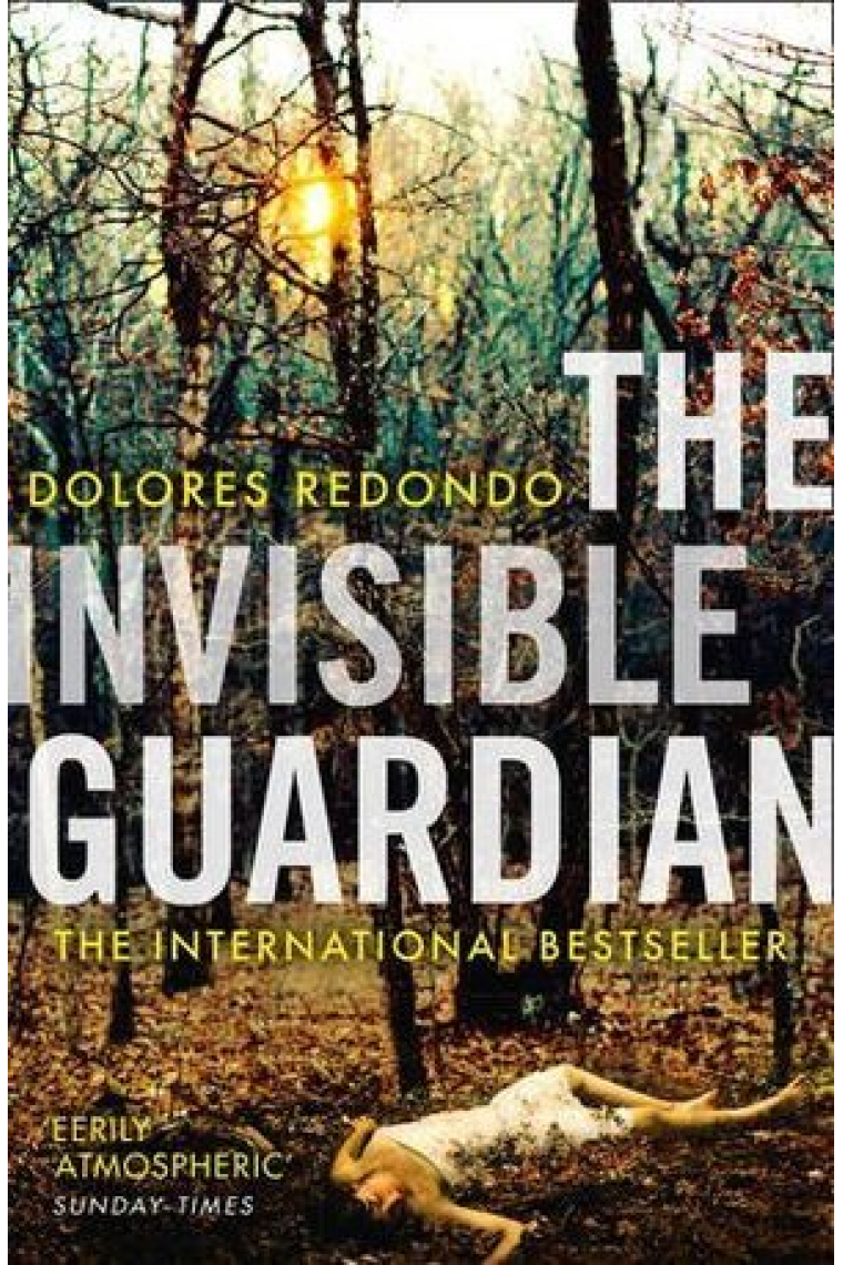The Invisible Guardian (The Baztan Trilogy 1)