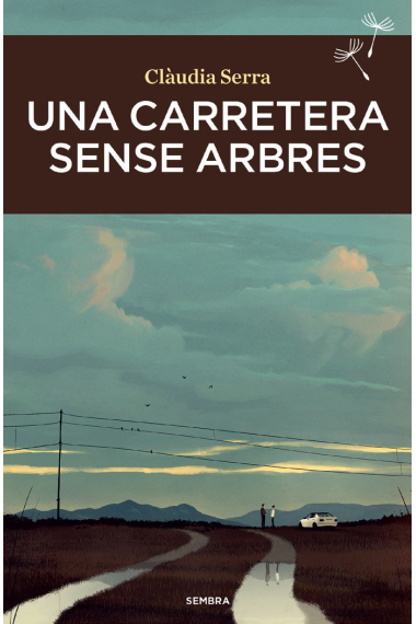 Una carretera sense  arbres