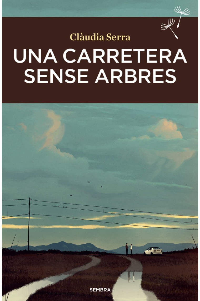 Una carretera sense  arbres