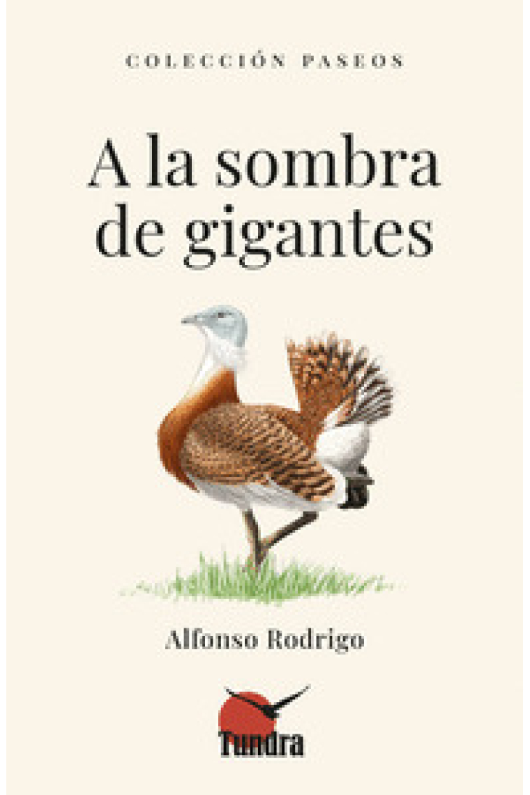 A la sombra de gigantes