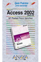 Access 2002 Office XP