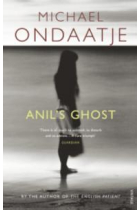 Anil's ghost