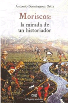 Moriscos: la mirad de un historiador