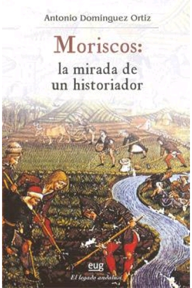 Moriscos: la mirad de un historiador