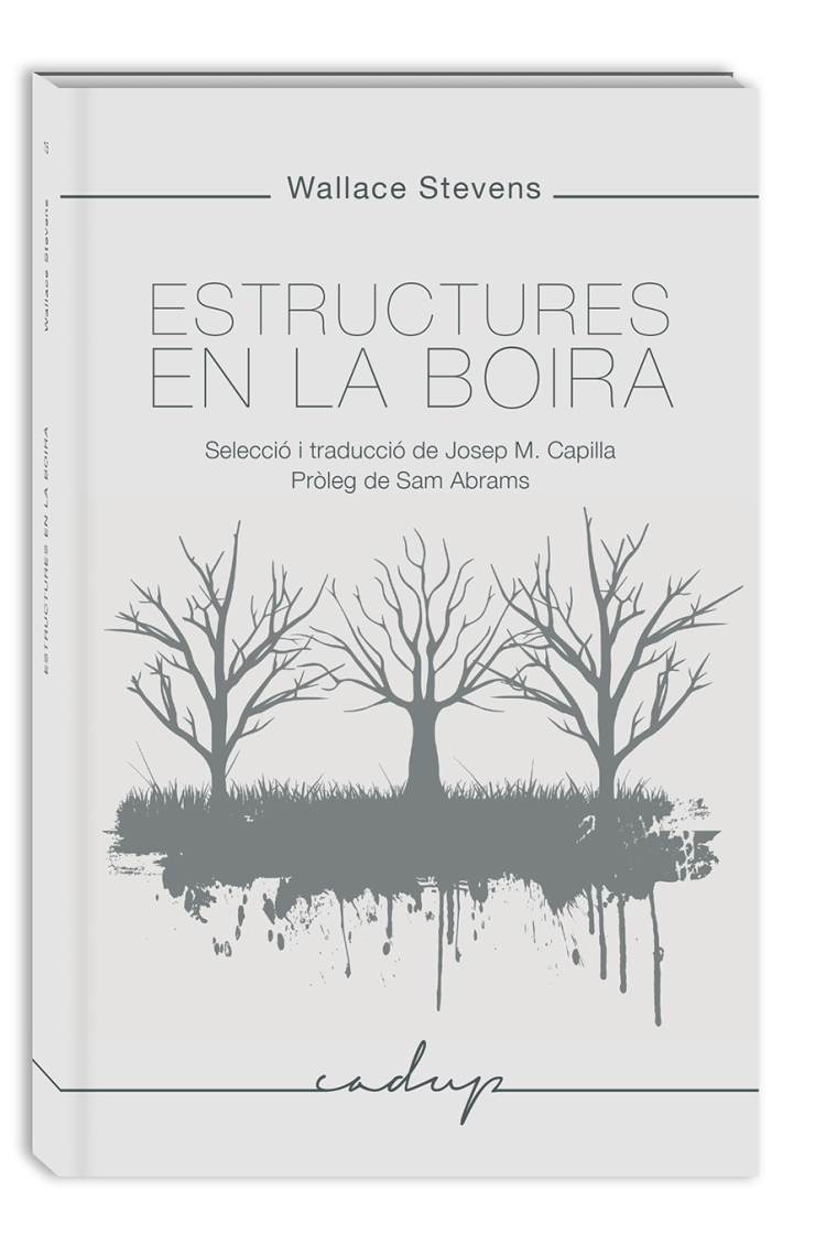 Estructures en la boira