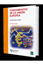 Fundamentos de la Unión Europea